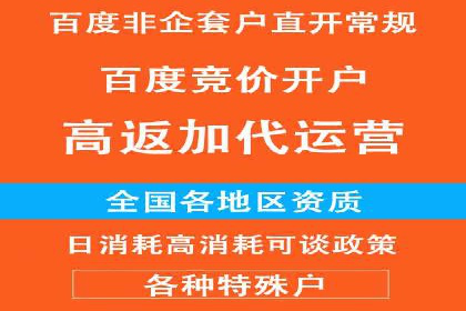 百度竞价运营策略：成功案例解析